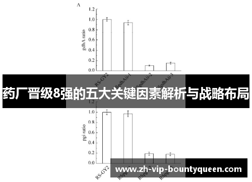 药厂晋级8强的五大关键因素解析与战略布局 药厂晋级8强的五大关键因素解析与战略布局