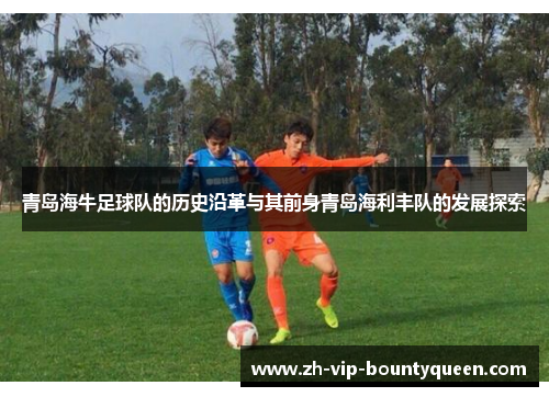 青岛海牛足球队的历史沿革与其前身青岛海利丰队的发展探索